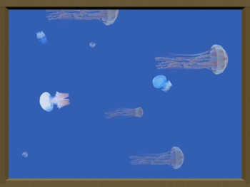 Jellyfish Screen Saver