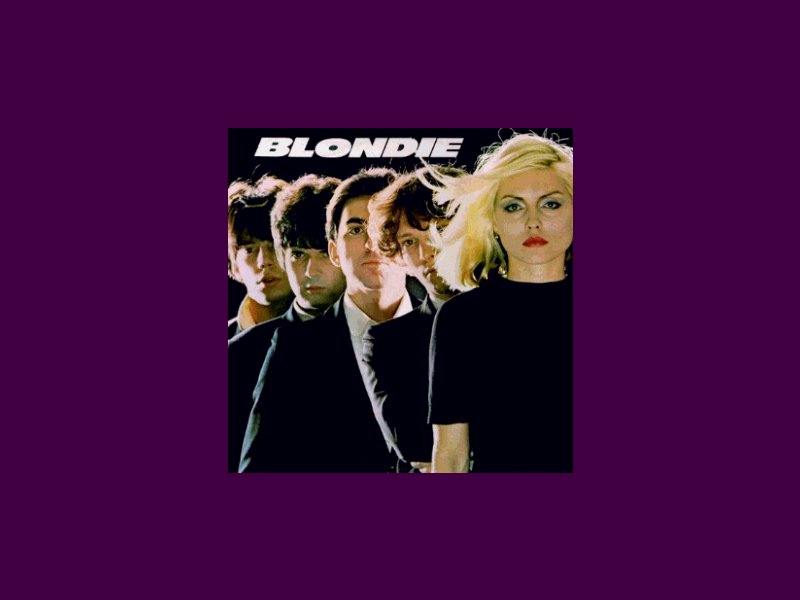 Blondie Wallpaper